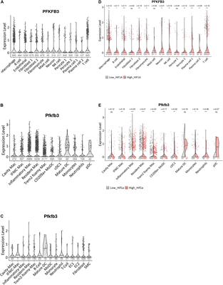 Partial Inhibition of the 6-Phosphofructo-2-Kinase/Fructose-2,6-Bisphosphatase-3 (PFKFB3) Enzyme in Myeloid Cells Does Not Affect Atherosclerosis